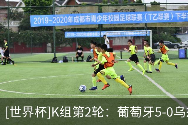 [世界杯]K组第2轮：葡萄牙5-0乌兹别克斯坦 集锦